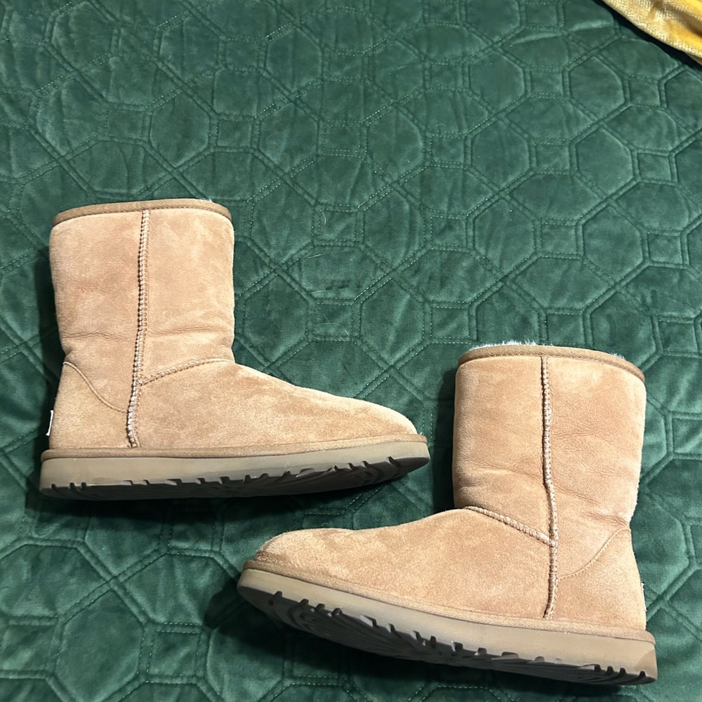 Ugg mid